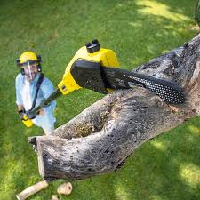 Best Sod Installation  in Azusa, CA