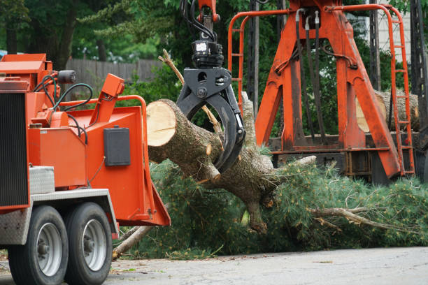 Best Lawn Watering Services  in Azusa, CA